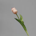 Flesh Pink