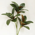 Artificial magnolia leaves for realistic interior decoration - Magnolia Leaf