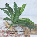 Artificial tropical fern plants and decorative leaves - 50cm 18 feuilles