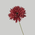 Red B