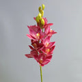 Dark pink