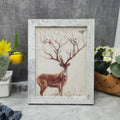 Retro White Frame