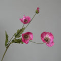 Type B Pink Red