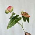 Pink Green