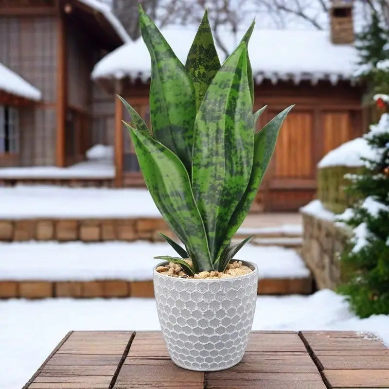 Artificial succulent plants interior and exterior decoration