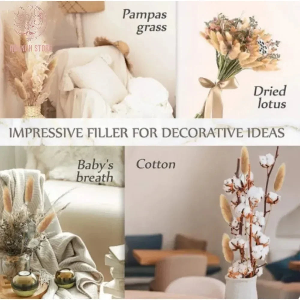 Bouquet of dried flowers rabbit tail for festive decorations - view 6