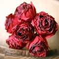 Red Wine
