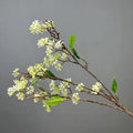 White Green