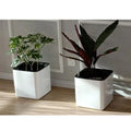 White Self Watering Planter, Water Indicator, Modern Decorative Planter Pot for all House Plants Flowers, Herbs, Vegetables - S