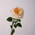 Artificial rose branches with realistic touch for decoration - Light Yellow