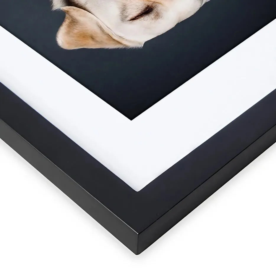 Versatile photo frames in different sizes, suitable for wall or table display, modern design, suitable for home (Black) - view 5