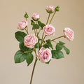 Flesh Pink