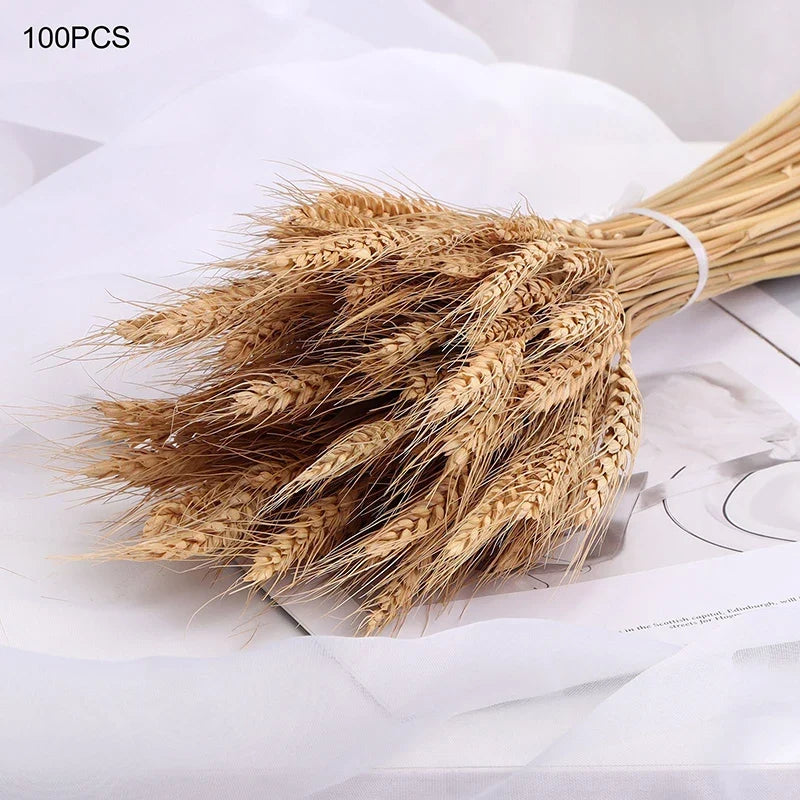 Natural dried wheat stems for festive decoration and bouquet - view 4