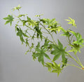 Artificial plants in decorative silk maple foliage for indoor use - Emerald Green