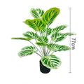 75cm No Pot White