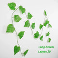 Vine Leaves 2
