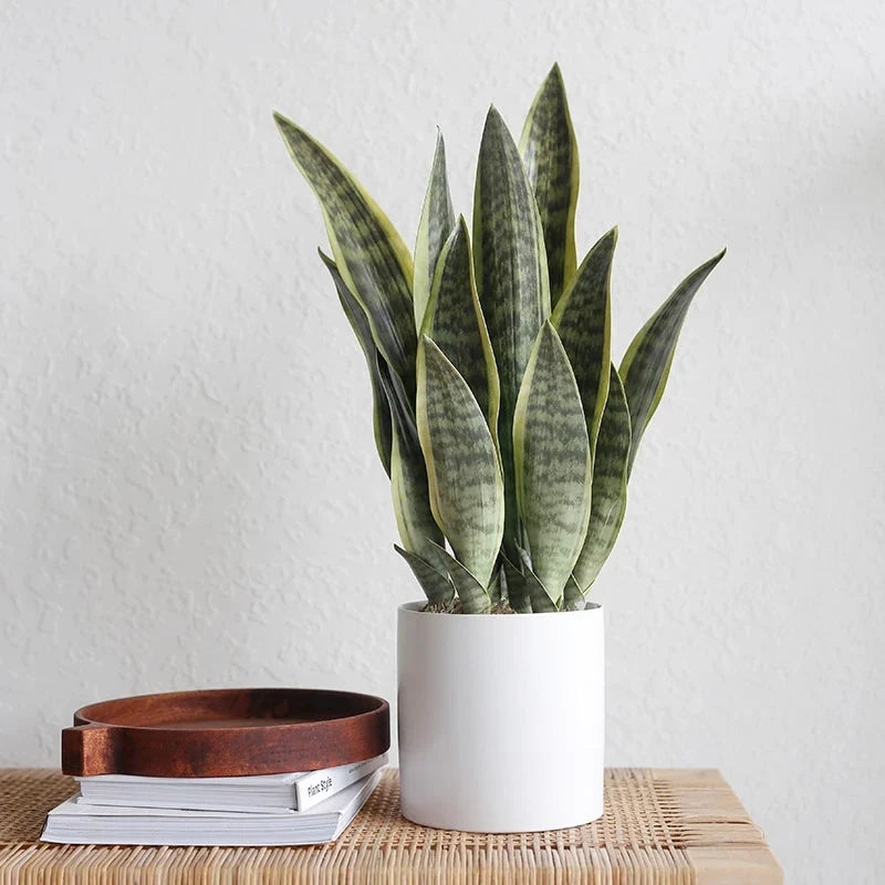 Succulent artificial plants aloe vera for outdoor interior decoration - view 9