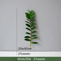25 inches 21 Leaves