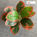 2 Pieces with Red Border