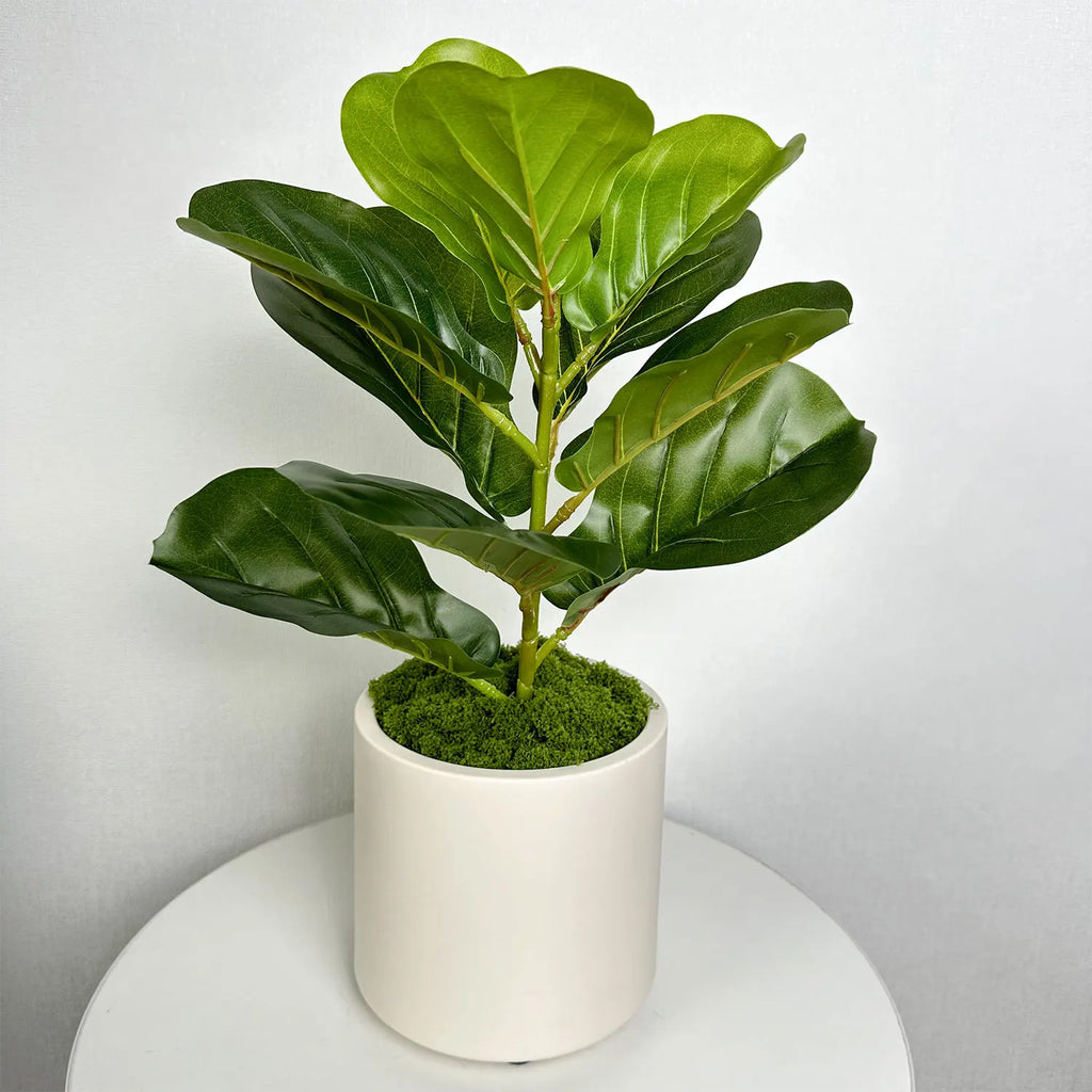 Nordic decorative pot in plastic and ceramic for indoors - view 5
