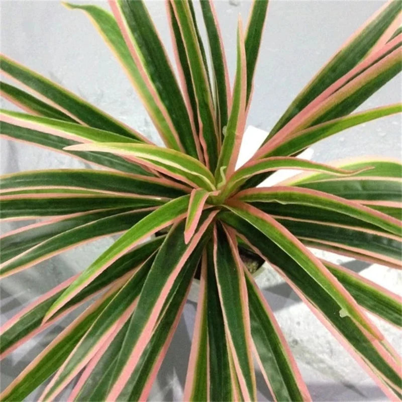 Artificial plants decorative chlorophytum for indoors without pot - view 4