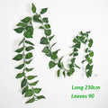 Scindapsus Leaves 1