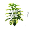 85cm No Pot Yellow
