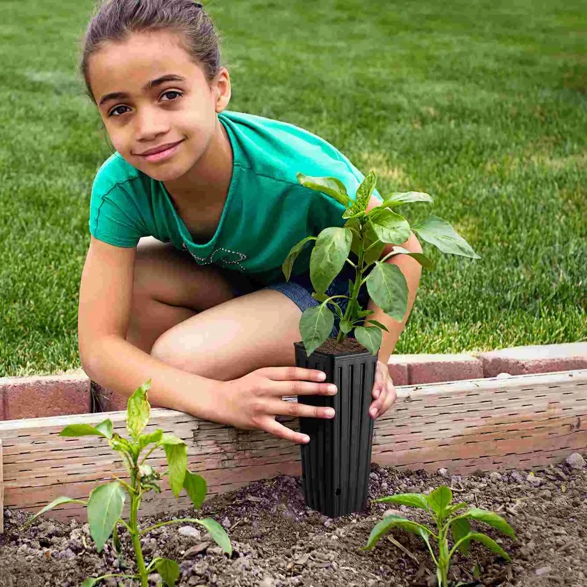 50 bags of seedling and planting culture - view 5