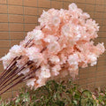 Pink Champagne