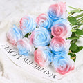 Blue Pink 1 Piece