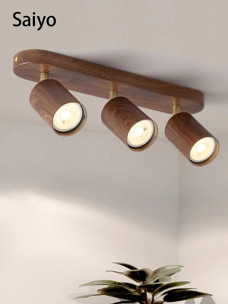 Projecting led spot with replaceable bulb and adjustable heads