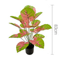 85cm No Pot Red