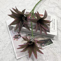 80cm-Purple