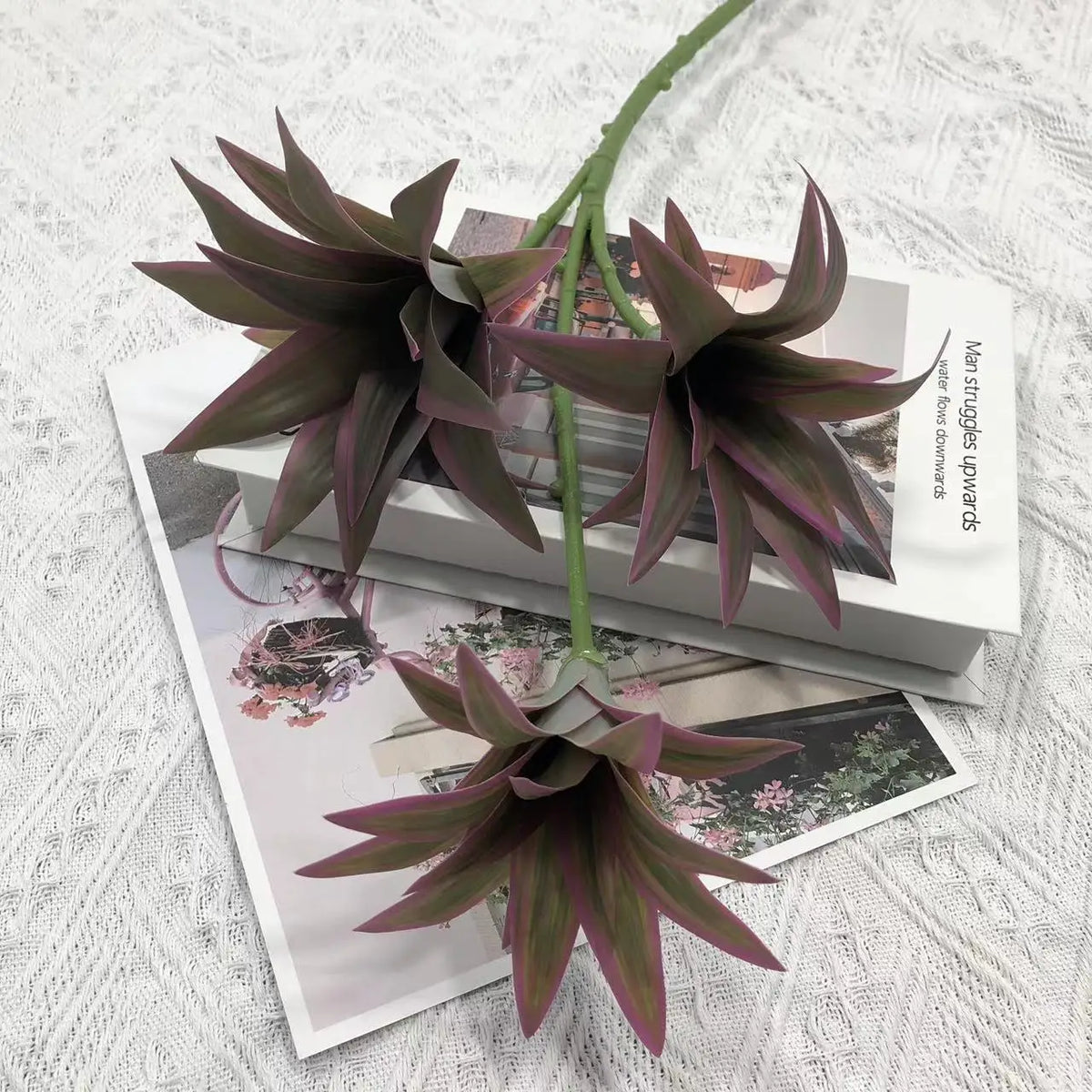 Tropical pot plant with palm and decorative bamboo - 80cm-Purple