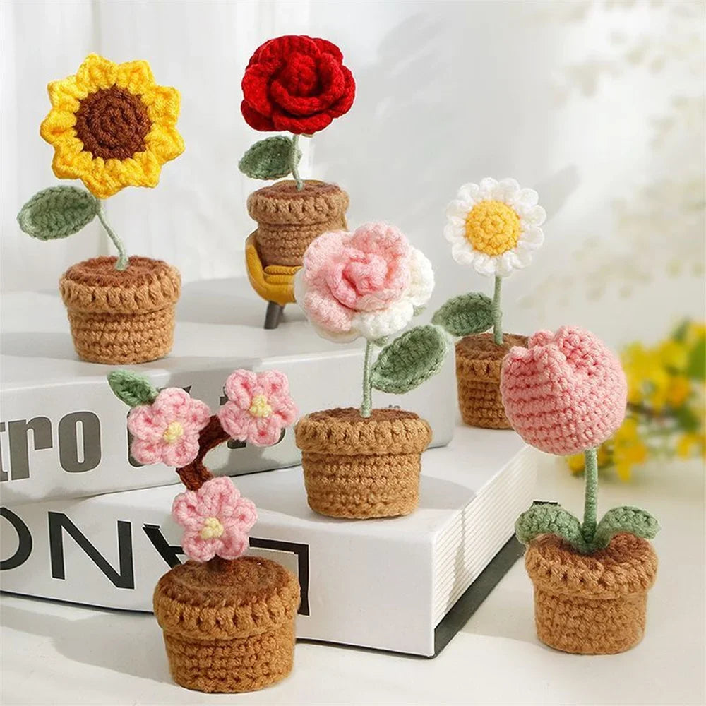 Handmade pot plant for decorative gift of Saint valentine