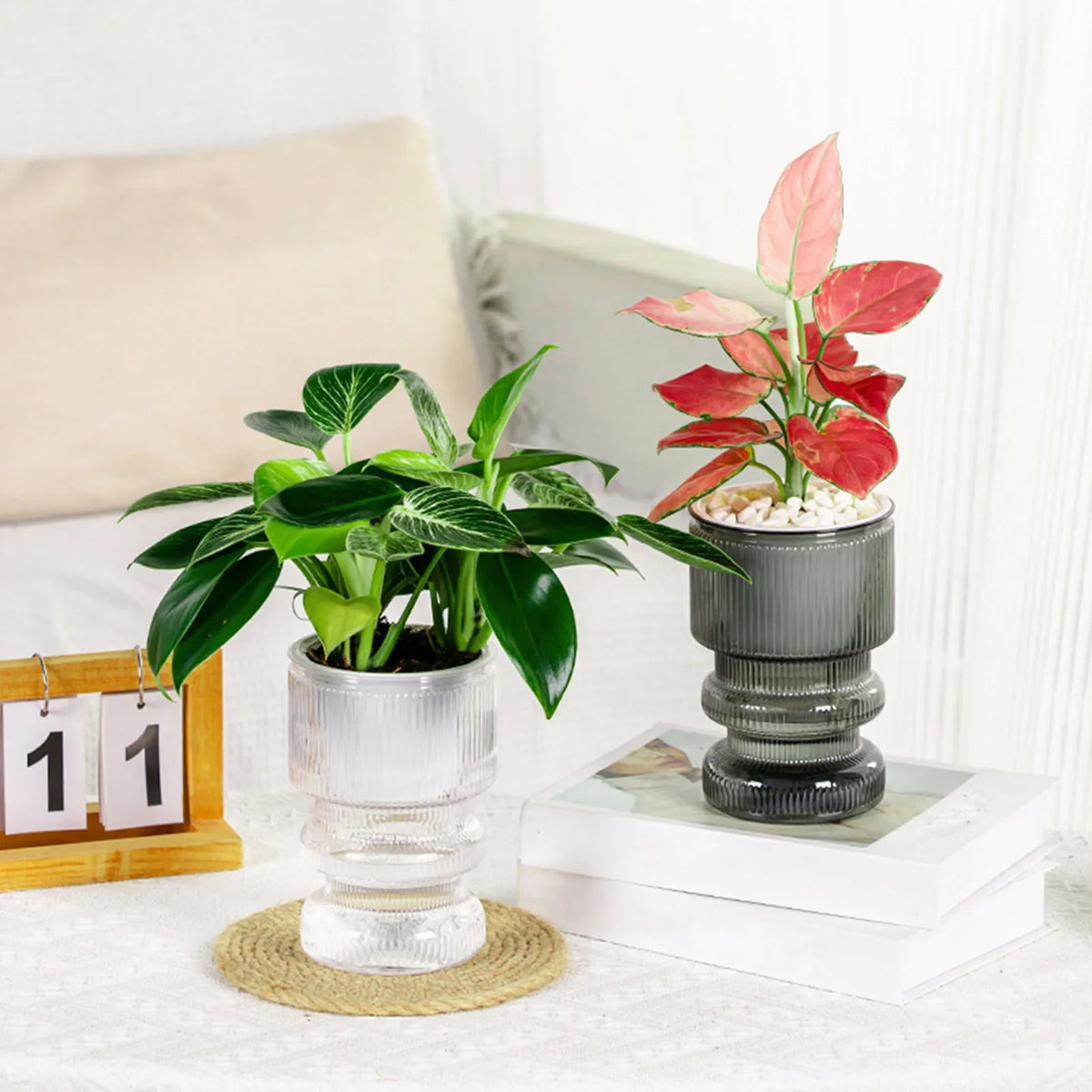 Hydroponic flower pot with automatic garden decoration - view 2