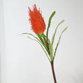 1 orange