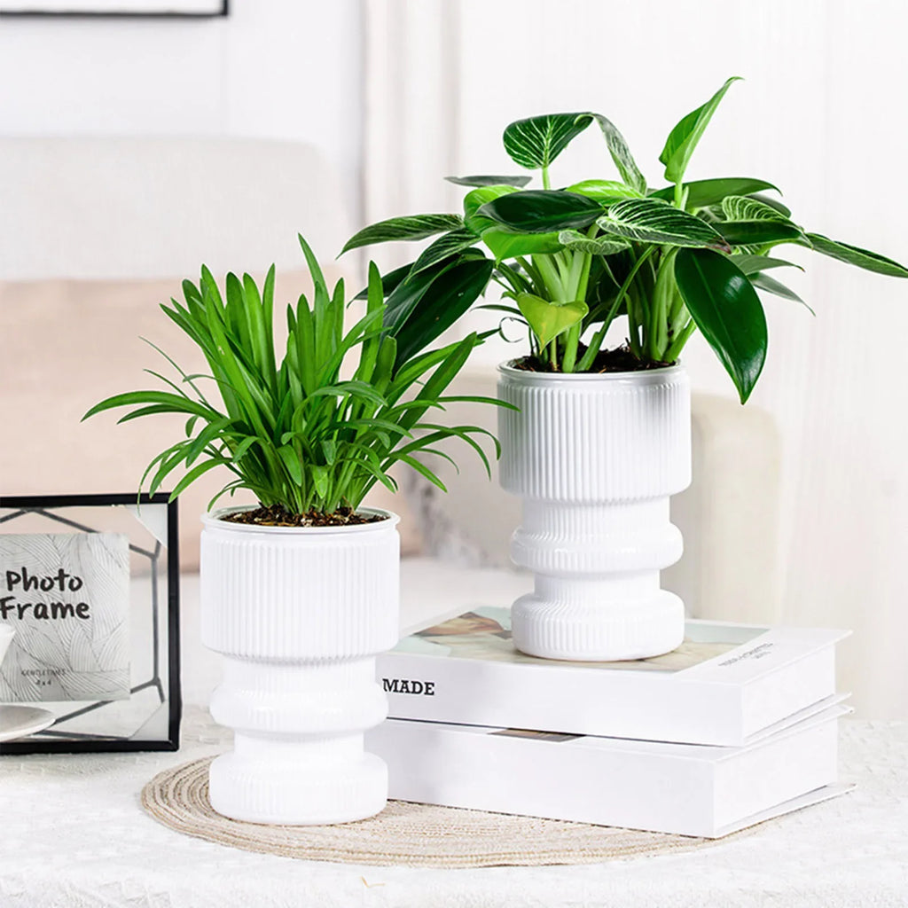 Hydroponic flower pot with automatic garden decoration - view 4