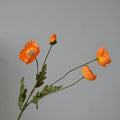 Type B Light Orange