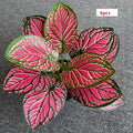 6 Pieces Red Stripes
