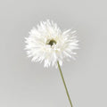 White B