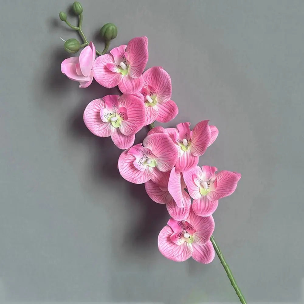 Artificial plants phalaenopsis 3d touch realistic decorative orchid - view 4