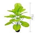 75cm No Pot Green
