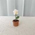 White Puff