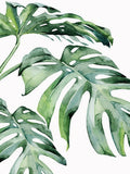 5D Diamond Painting Kit with Green Plant, Design 7893 - 7893 / 50*70cm