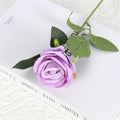 Light Purple