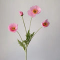 Coquelicot Fushcia