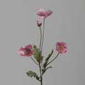 Type B Pink