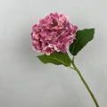 Pink Red