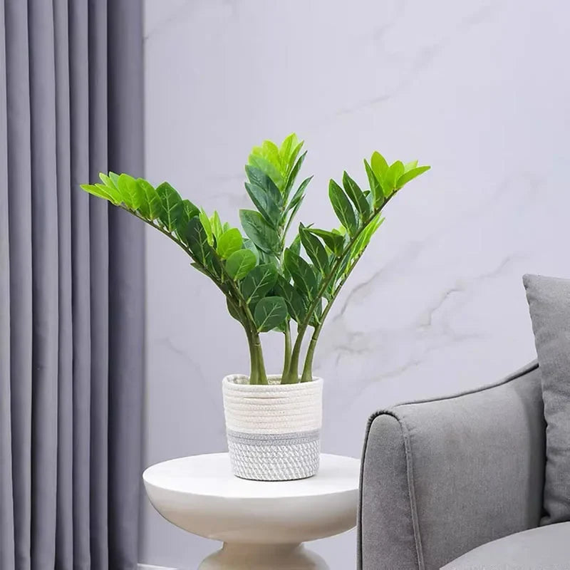 Artificial plants ficus and zamioculcas for interior decoration - view 5